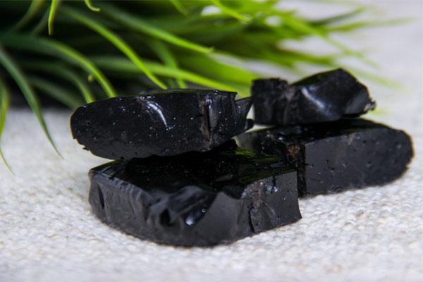 SHILAJIT : A CONCOCTION OF BALANCE - Day One Performance