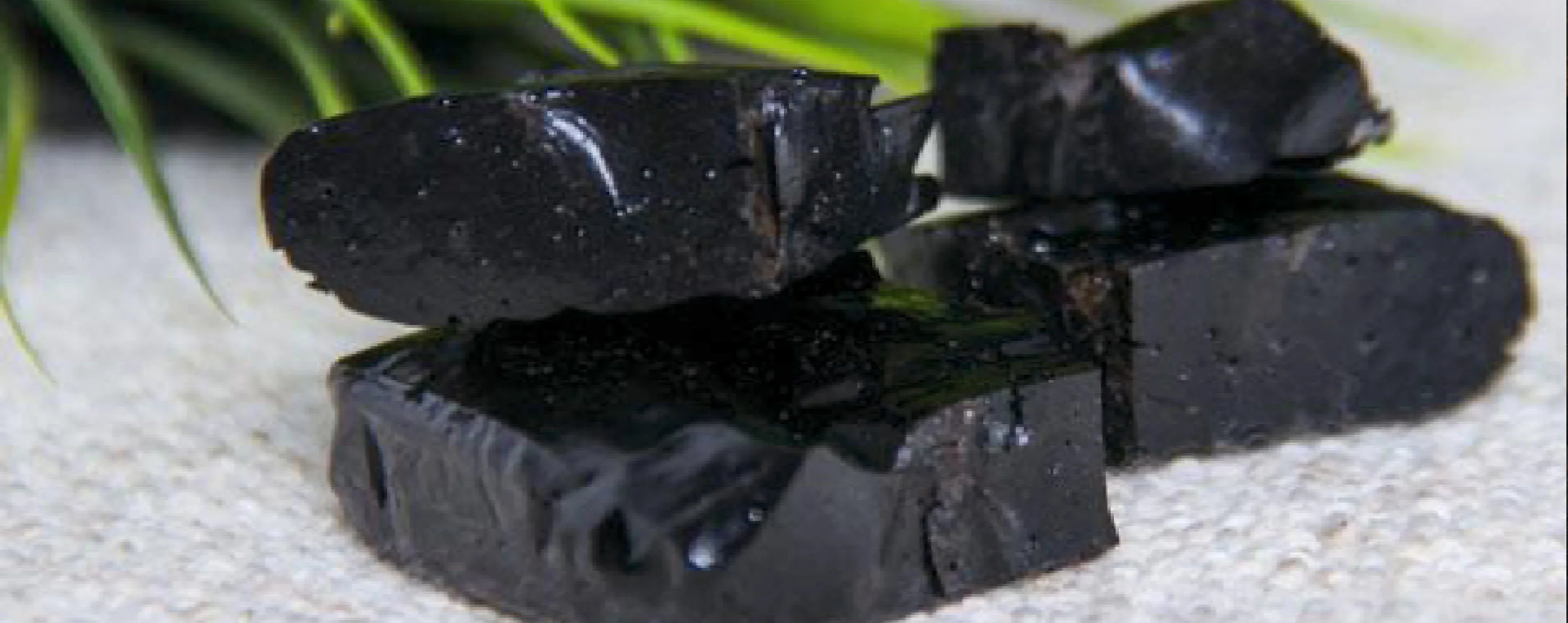 SHILAJIT : A CONCOCTION OF BALANCE - Day One Performance