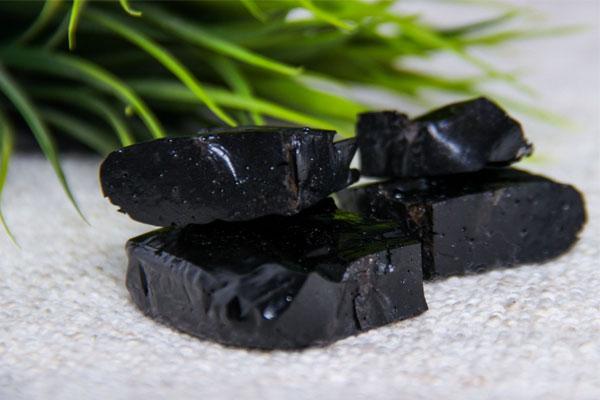 SHILAJIT : A CONCOCTION OF BALANCE - Day One Performance